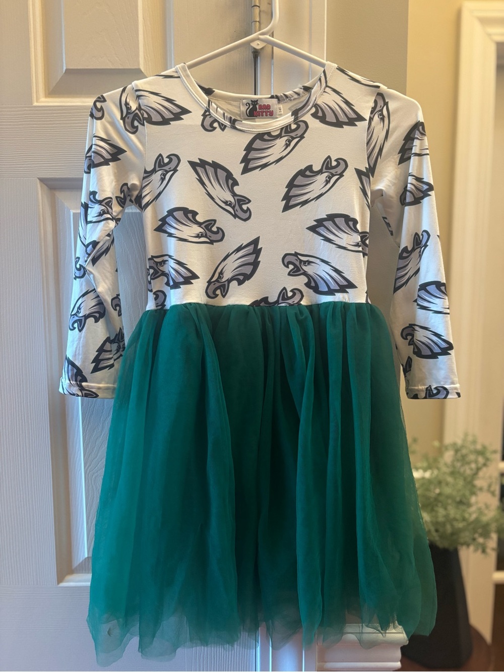 Girls Long-Sleeve Philadelphia Eagles Tulle Dress